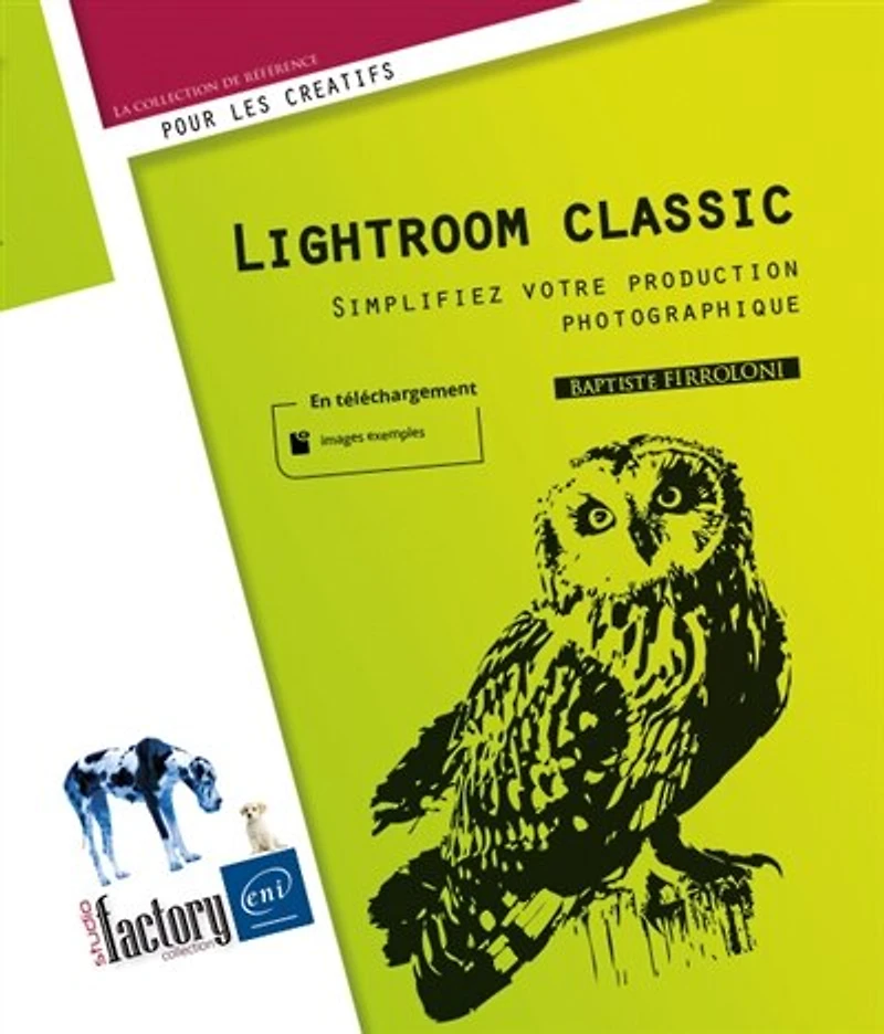 Lightroom classic : simplifiez votre production photographique: simplifiez votre production photographique