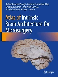 Atlas of Intrinsic Brain Architecture for Microsurgery