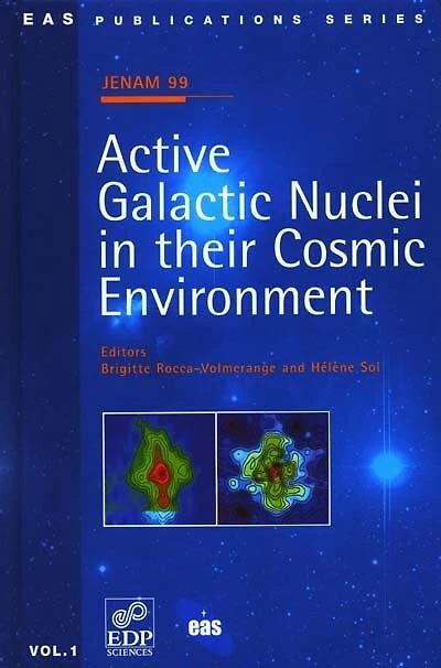 Active galactic nuclei in their cosmic environment