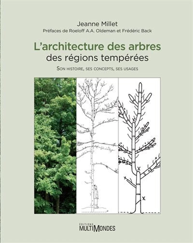 L' architecture des arbres des régions tempérées: son histoire, ses concepts, ses usages