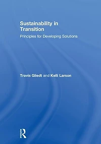 Sustainability Transition: Principles for Developing Solutions