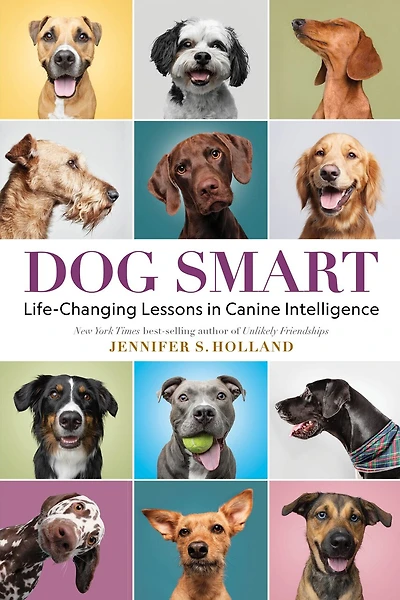 Dog Smart: Life-Changing Lessons Canine Intelligence