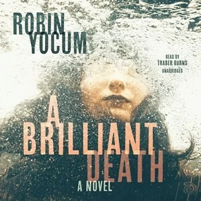 A Brilliant Death: Novel