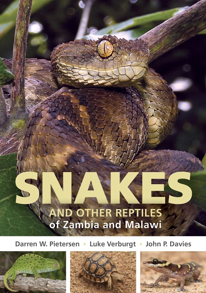 Field Guide To Snakes And Other Reptiles Of Zambia Malawi