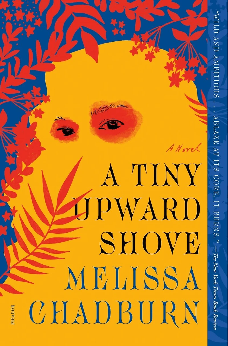 A Tiny Upward Shove: Novel