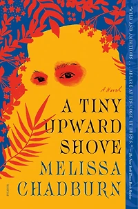 A Tiny Upward Shove: Novel