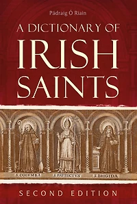 A Dictionary of Irish Saints