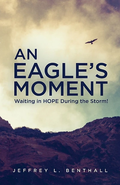 An Eagle's Moment: Waiting In Hope During The Storm!