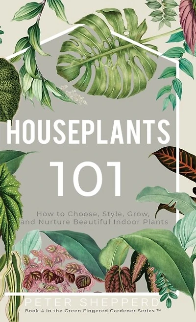 Houseplants 101: How To Choose, Style, Grow And Nurture Your Indoor Plants.