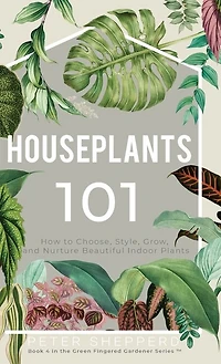 Houseplants 101: How To Choose, Style, Grow And Nurture Your Indoor Plants.