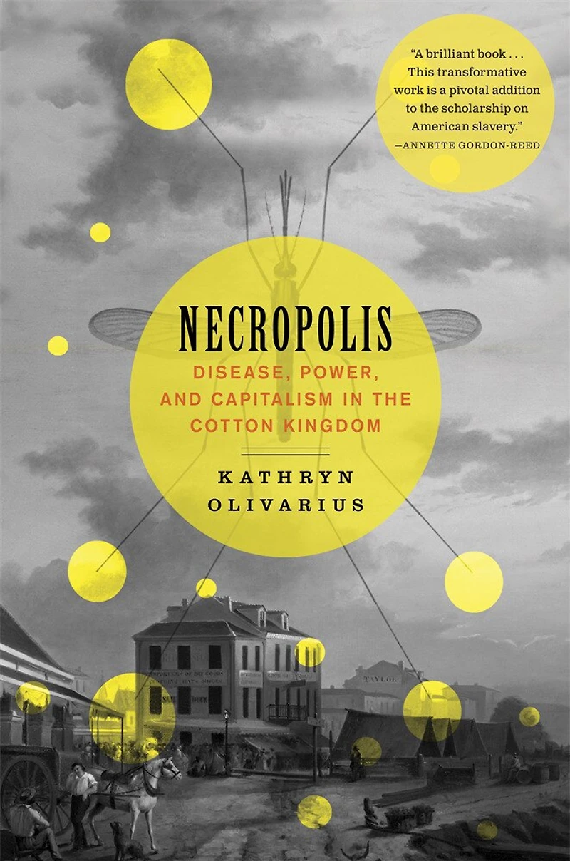 Necropolis: Disease, Power, and Capitalism the Cotton Kingdom