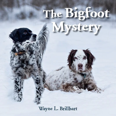 The Bigfoot Mystery: A Rusty And Purdy Backyard Bird Adventure