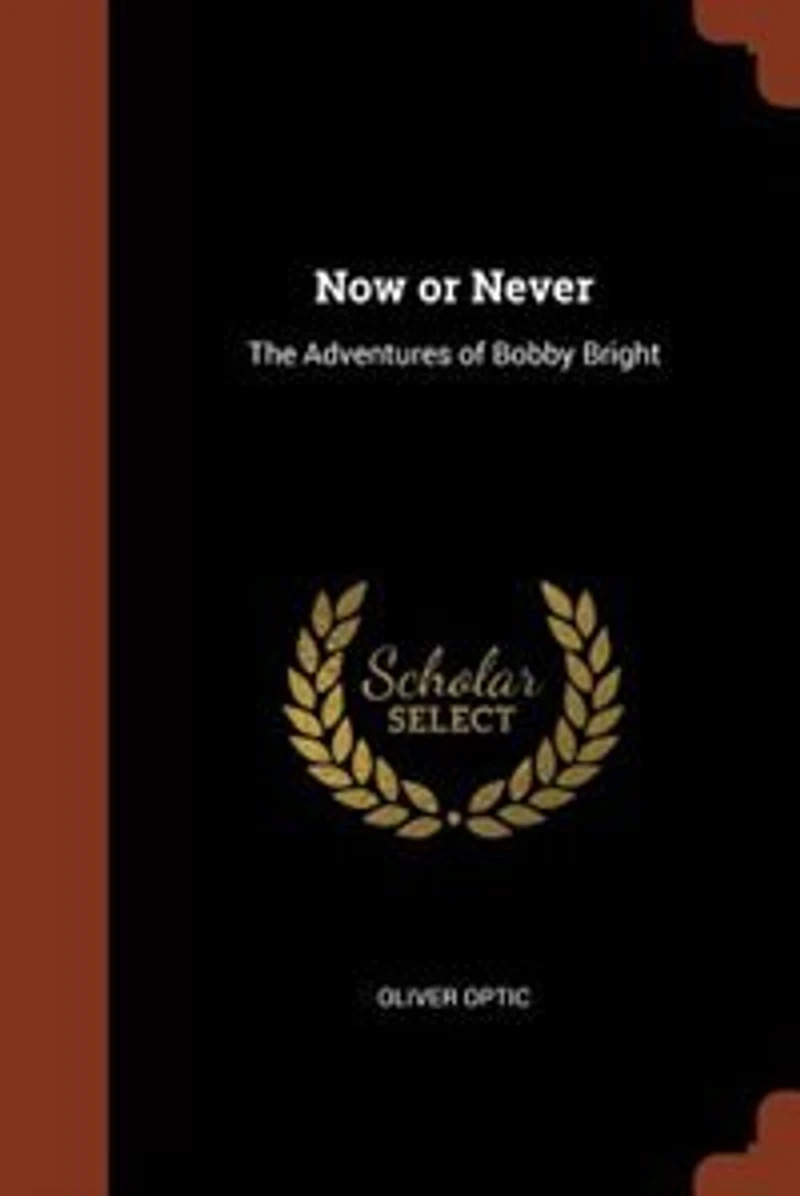 Now or Never: The Adventures of Bobby Bright