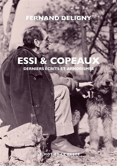 Essi & copeaux : derniers écrits et aphorismes: derniers écrits et aphorismes
