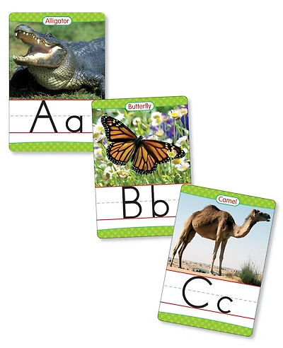 Animals From A to Z Alphabet Set: Manuscript