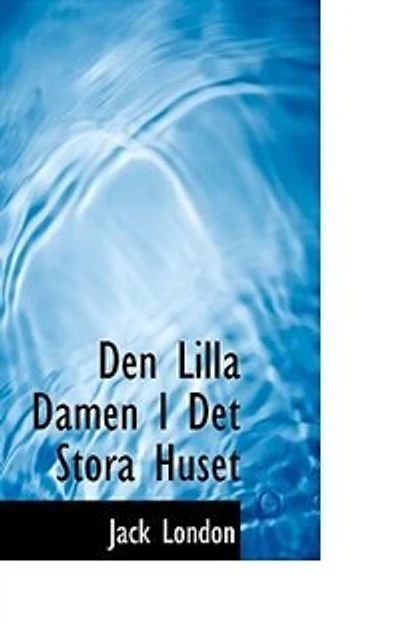 Den Lilla Damen I Det Stora Huset