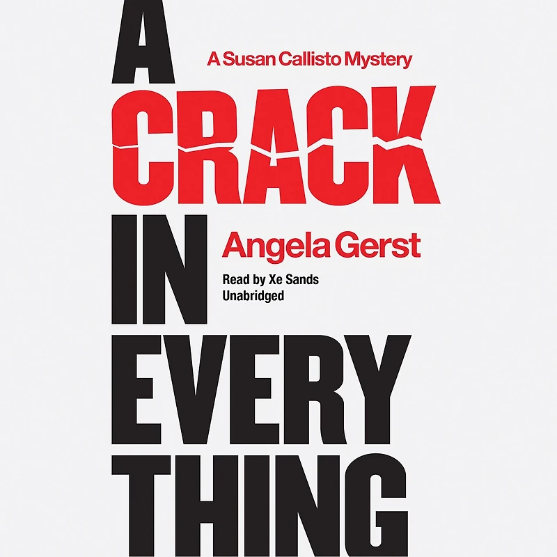 A Crack Everything: Susan Callisto Mystery