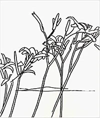 Alex Katz & Robert Creeley: Edges