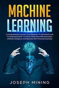 Machine Learning: A Comprehensive Journey From Beginner To Advanced Level To Understand WHY You MUST Keep Pace With Innovation, Artificial Intelligence And Big Data With Practical Examples
