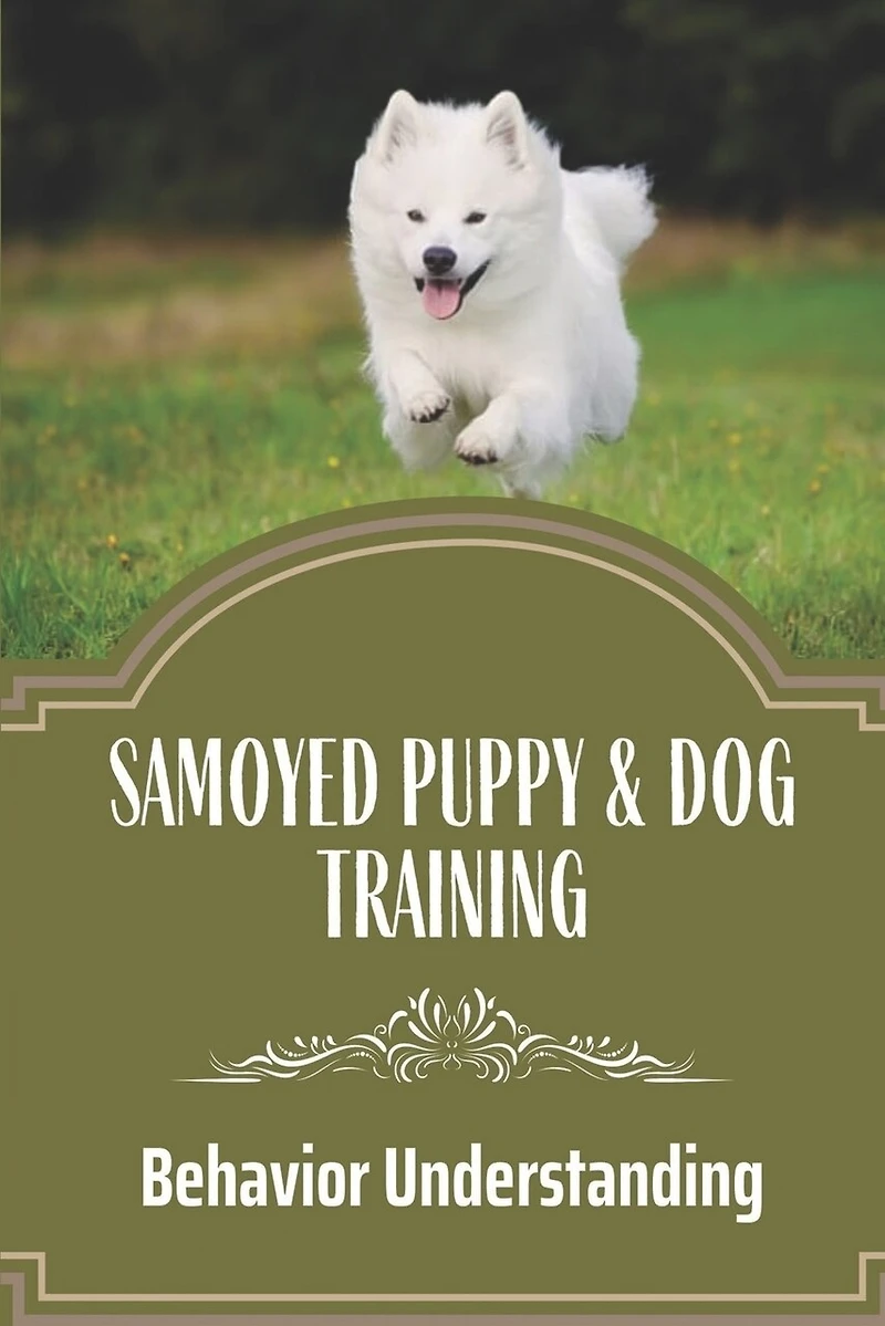 Samoyed Puppy & Dog Training: Behavior Understanding: How To Train Your Dog