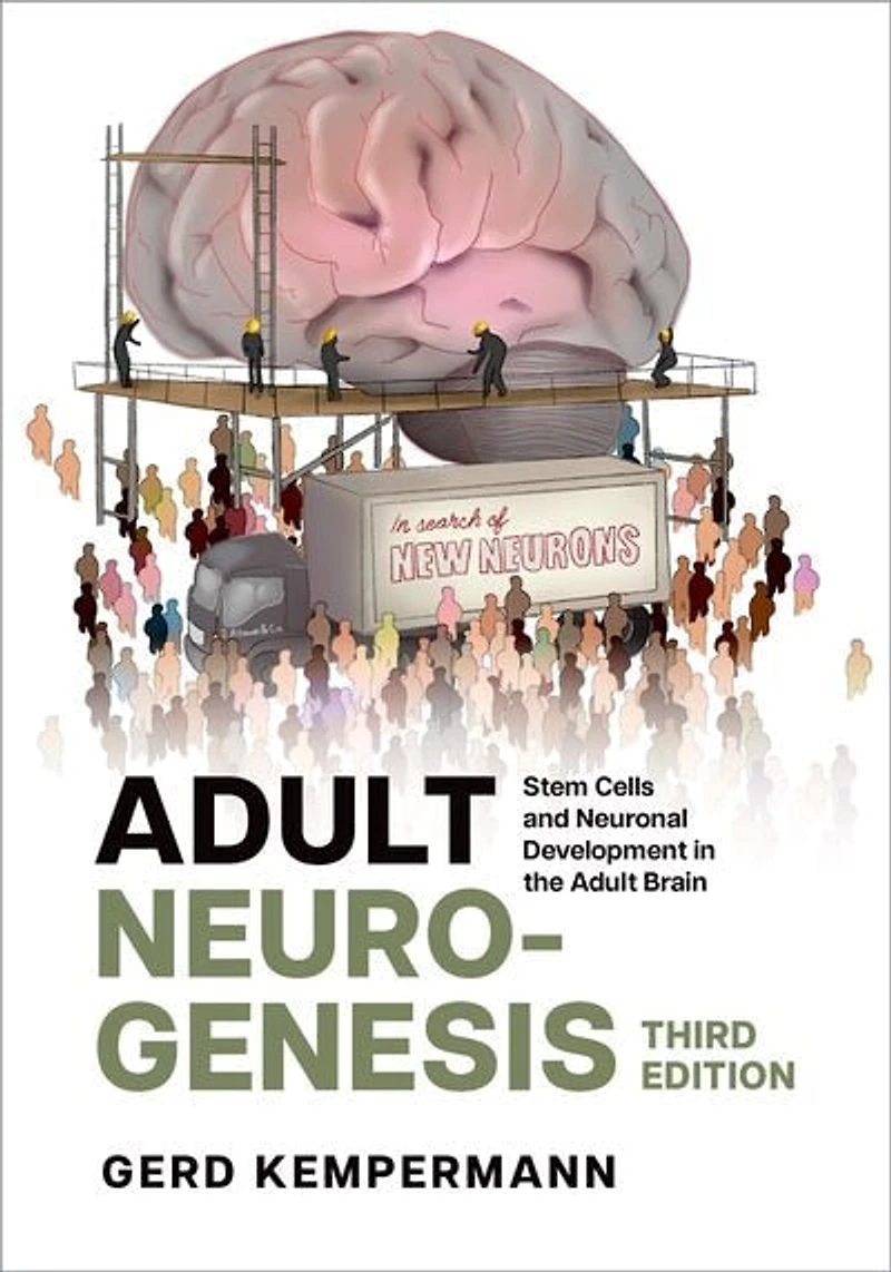 Adult Neurogenesis: Stem Cells and Neuronal Development the Brain