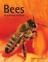 BEES: A Natural History