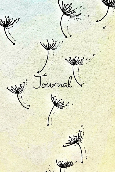 Figure It Out - The Journal