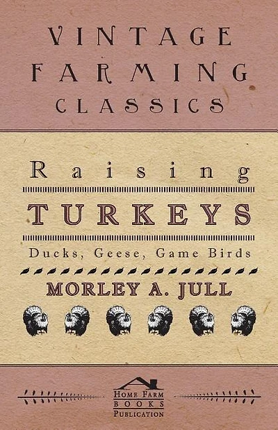 Raising Turkeys - Ducks, Geese, Game Birds
