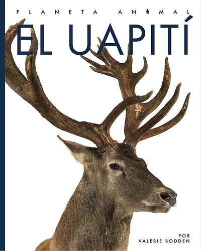 El uapiti: Planeta animal: El uapiti