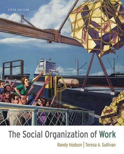 The Social Organization Of Work