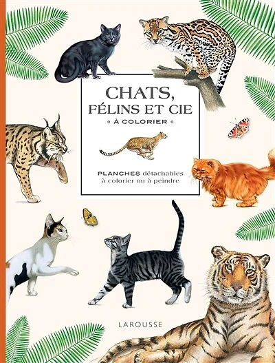 Chats, félins et cie à colorier: planches détachables à colorier ou à peindre