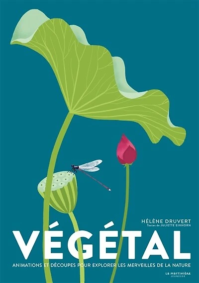 Végétal: animations et découpes pour explorer les merveilles de la nature