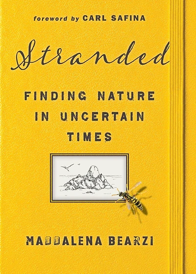 Stranded: Finding Nature Uncertain Times