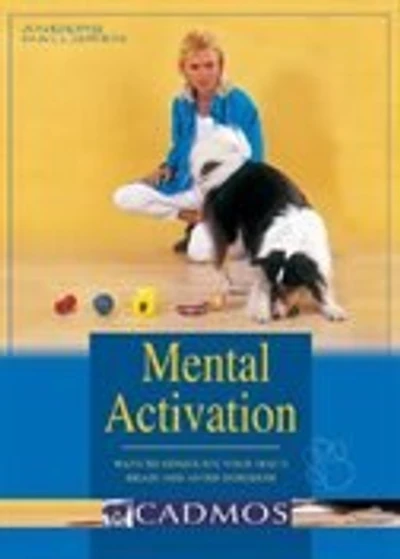 Mental Activation: Ways to Stimulate Your Dog's Brain and Avoid Boredom