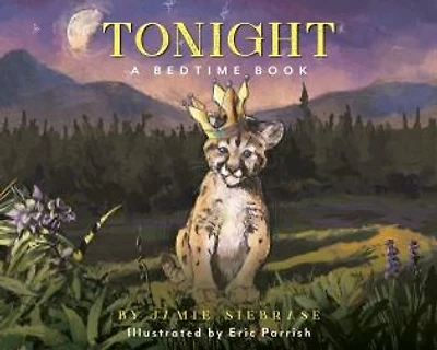 Tonight!: A Bedtime Book