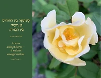 Jewish Garden Calendar 5782: "15 month 2021-2022 calendar featuring Jewish and American holidays, weekly Torah portions, select candle lighting times, and more."