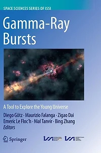 Gamma-Ray Bursts: A Tool to Explore the Young Universe