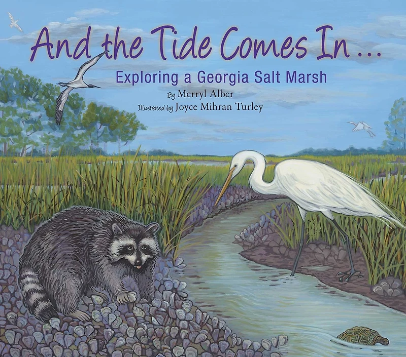 And the Tide Comes In...: Exploring a Coastal Salt Marsh