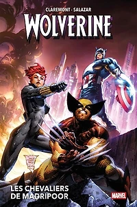 Les chevaliers de Madripoor