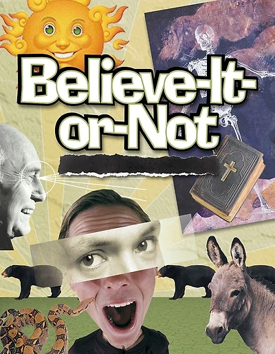 Believe It Or Not: Bible Studies For Youth Ministry