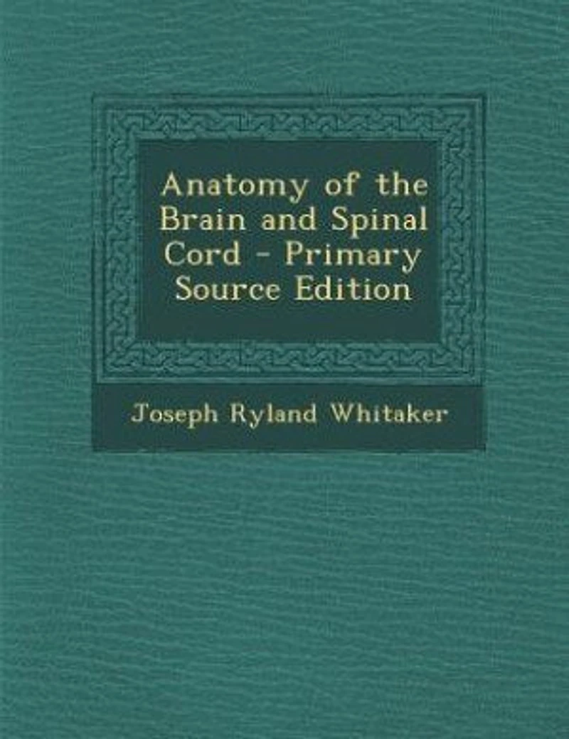 Anatomy of the Brain and Spinal Cord