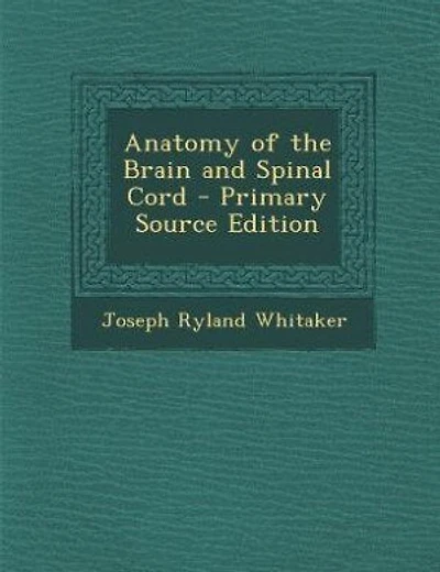 Anatomy of the Brain and Spinal Cord