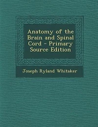 Anatomy of the Brain and Spinal Cord
