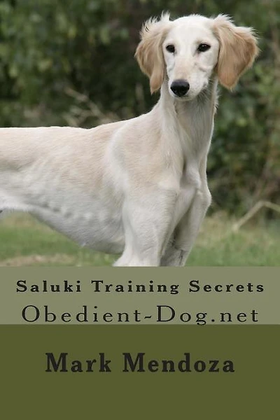Saluki Training Secrets: Obedient-Dog.net