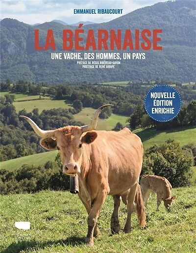 La béarnaise: une vache, des hommes, un pays