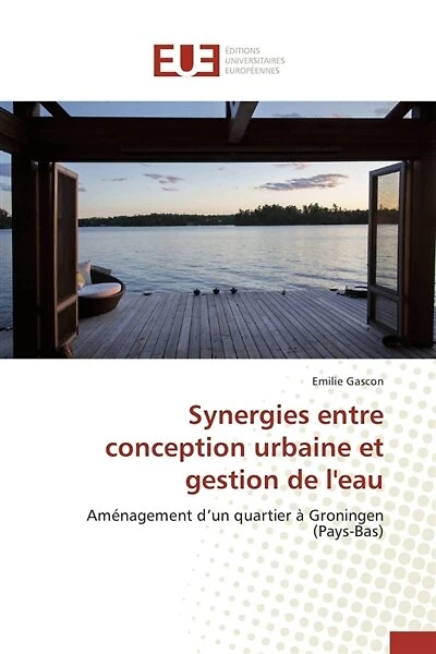 Synergies entre conception urbaine et gestion de l'eau: Aménagement d'un quartier à Groningen (Pays-Bas)