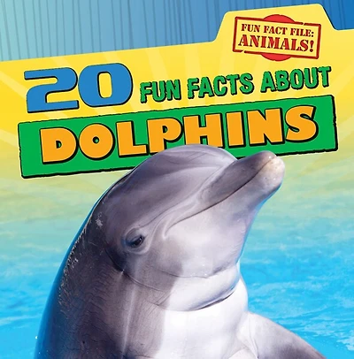 20 Fun Facts about Dolphins