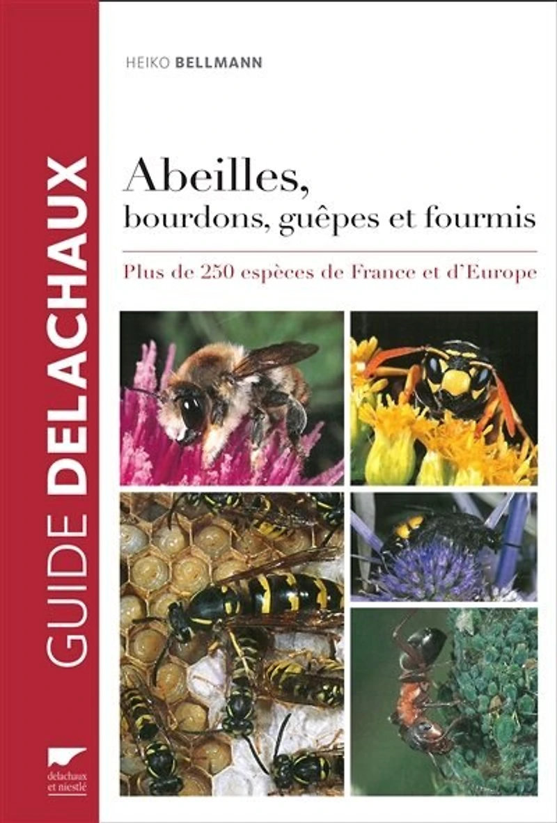 Abeilles, bourdons, guêpes et fourmis: plus de 250 espèces France d'Europe
