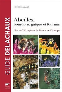 Abeilles, bourdons, guêpes et fourmis: plus de 250 espèces France d'Europe