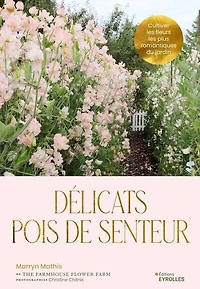 Délicats pois de senteur: cultiver le romantisme dans votre jardin